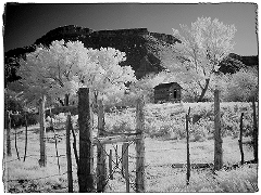 Gafton Ghost Town Infrared in Gafton Ghost Town, UT  Dave Hickey